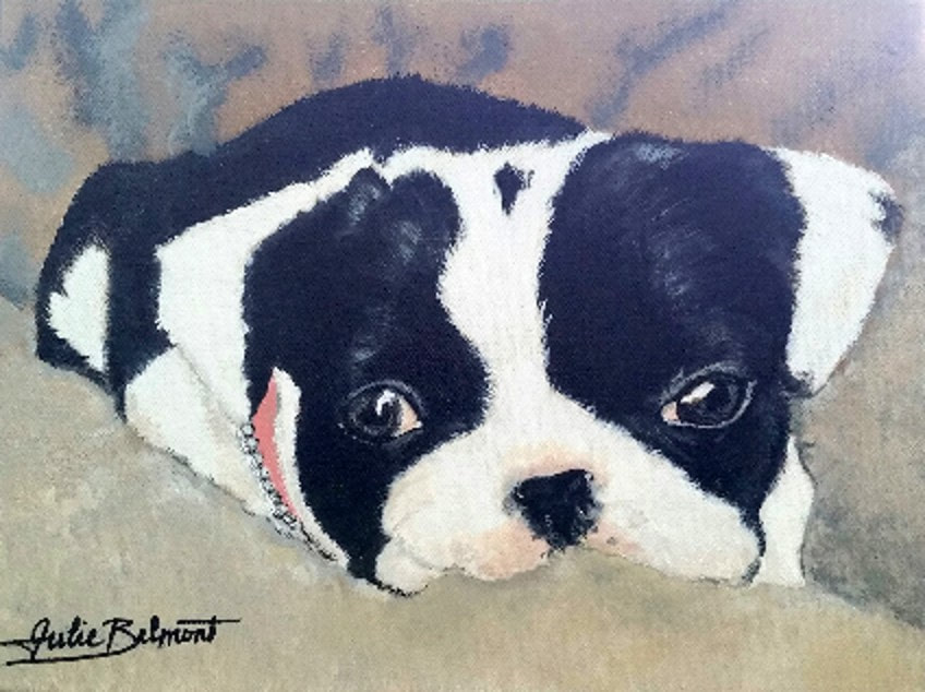 Frenchie Black and White Bull Dog, Commissioned Pet Portrait.